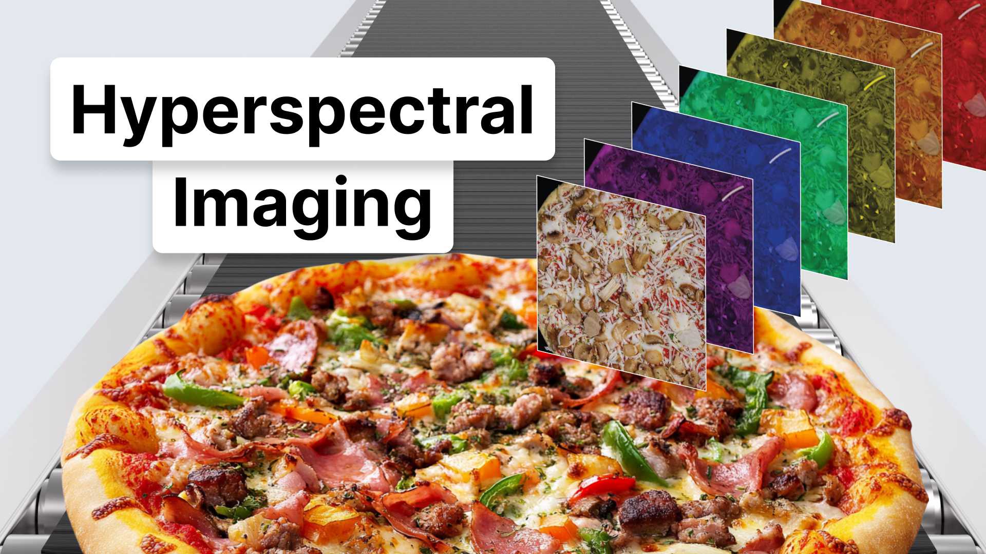 How is Hyperspectral Imaging Used in Food Processing? | KPM Analytics