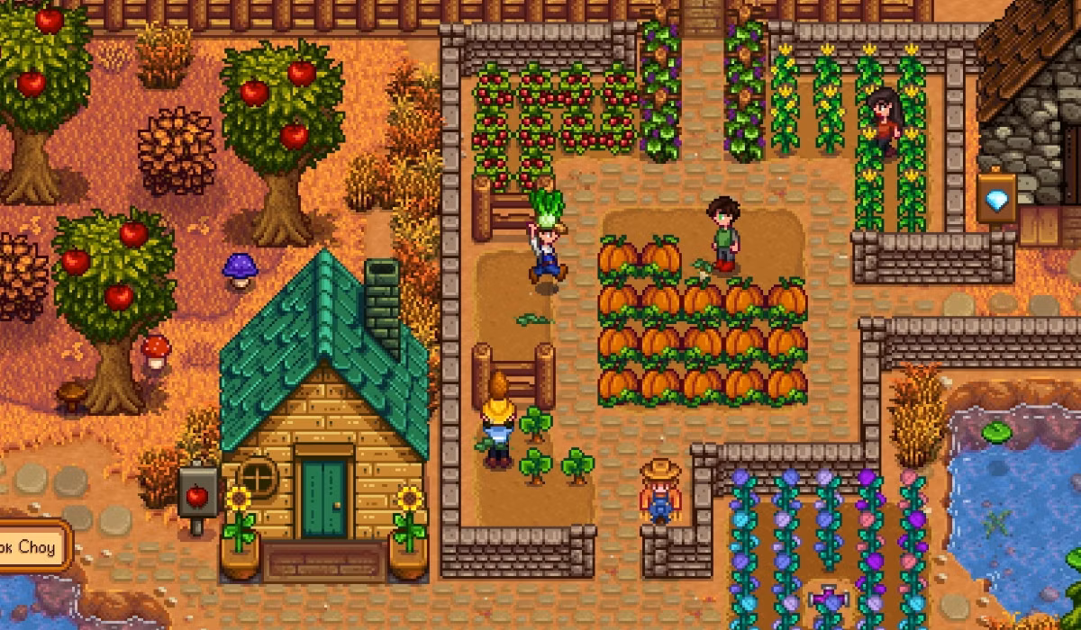 How Co-Op Works in Stardew Valley